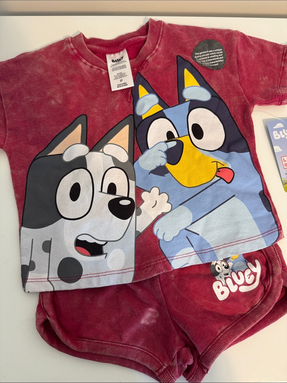 Bluey Kids Matching Set - Burgundy Top & Shorts